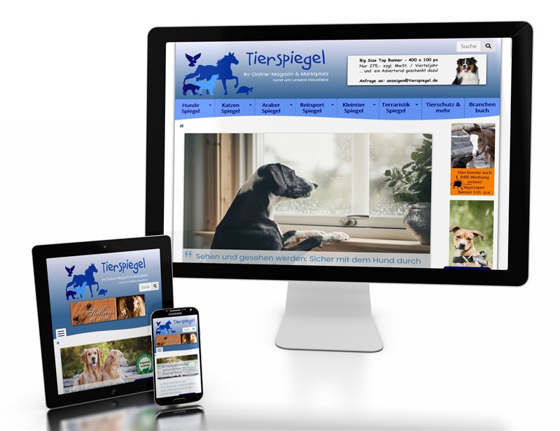 Web Design & Coding - Webseite Tierspiegel