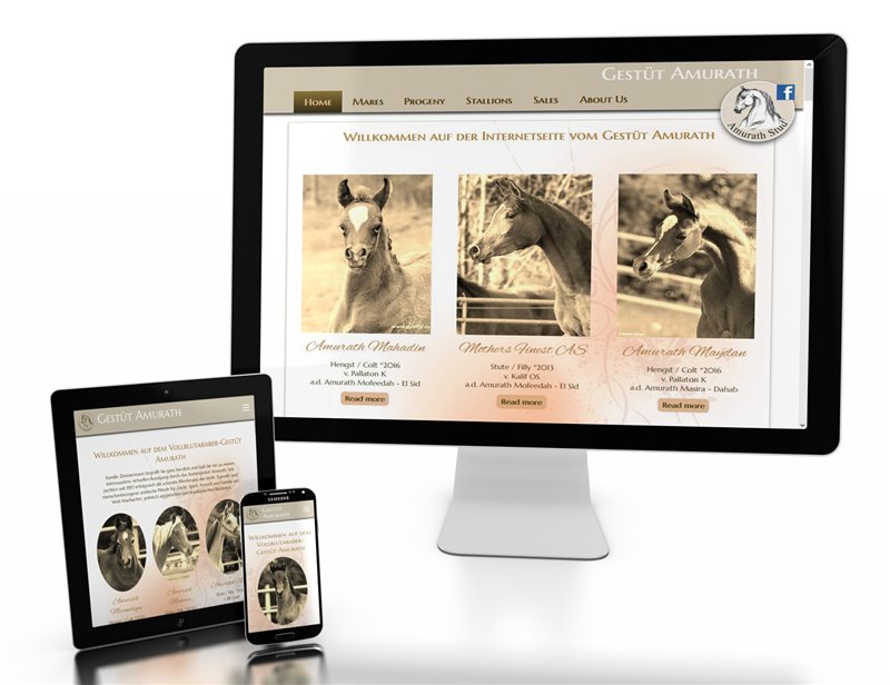 Web Design & Coding - NEWE Website Gestüt Amurath
