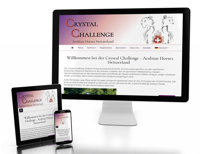 NEUE Webseite Crystal Challenge