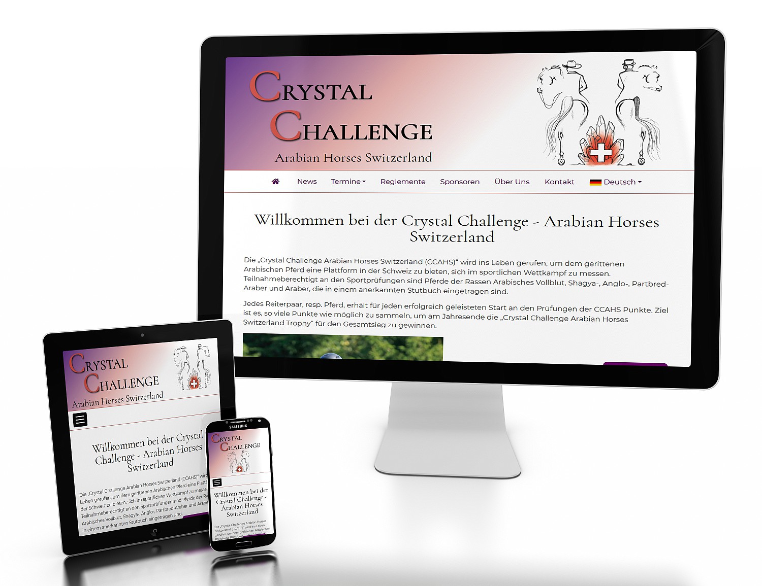NEWE Website Crystal Challenge