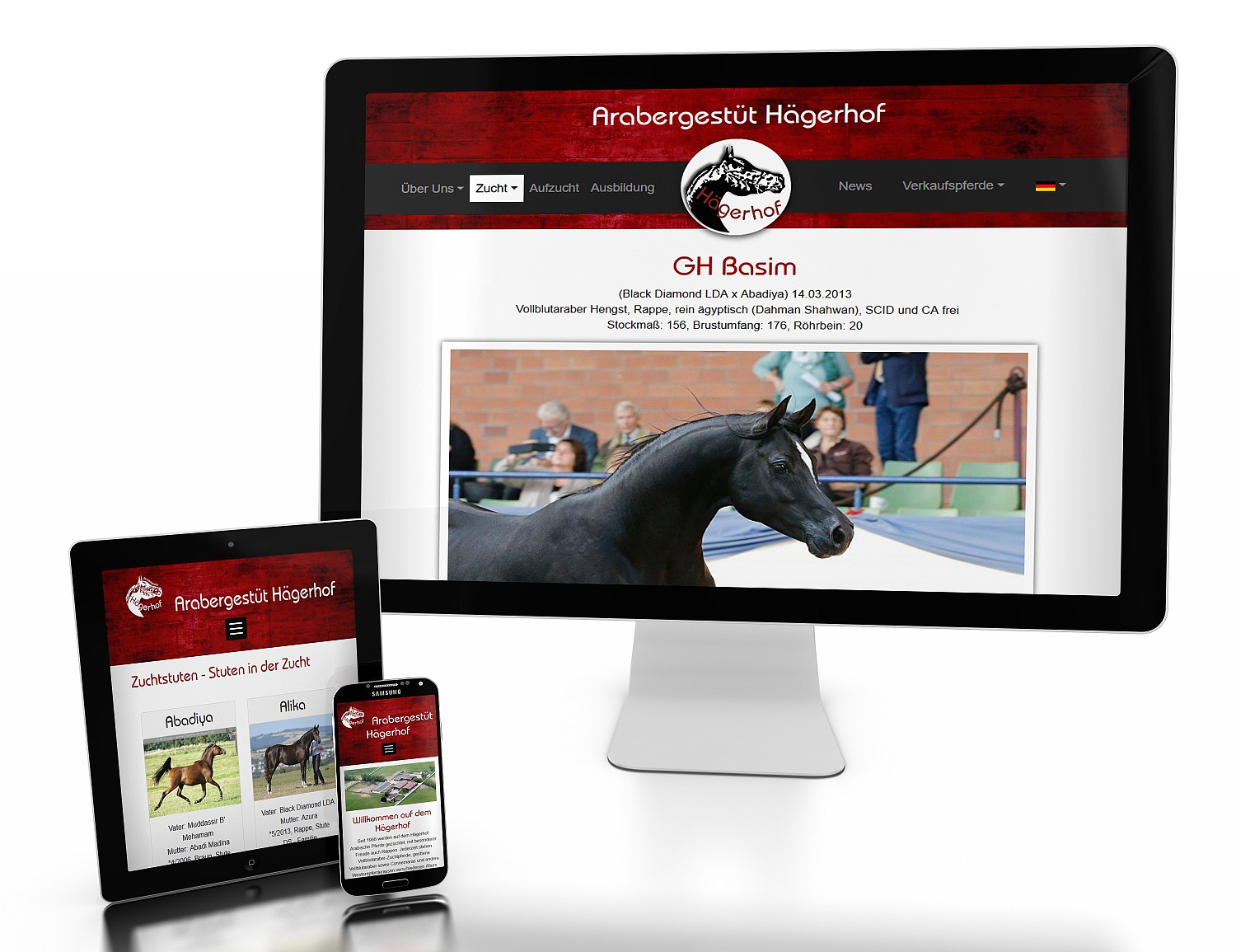 RELAUNCH Website Hägerhof Stud