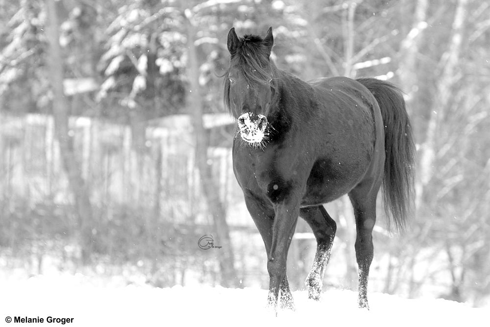 Winter Impressionen