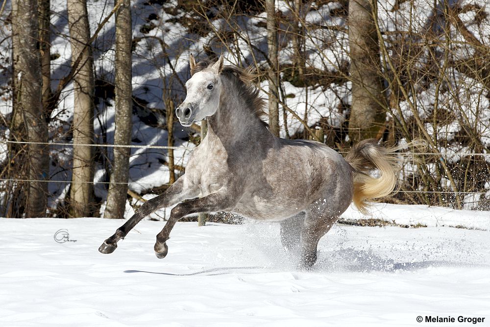 Winter Impressionen