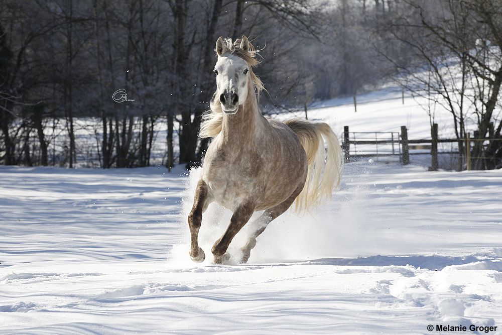 Winter Impressionen