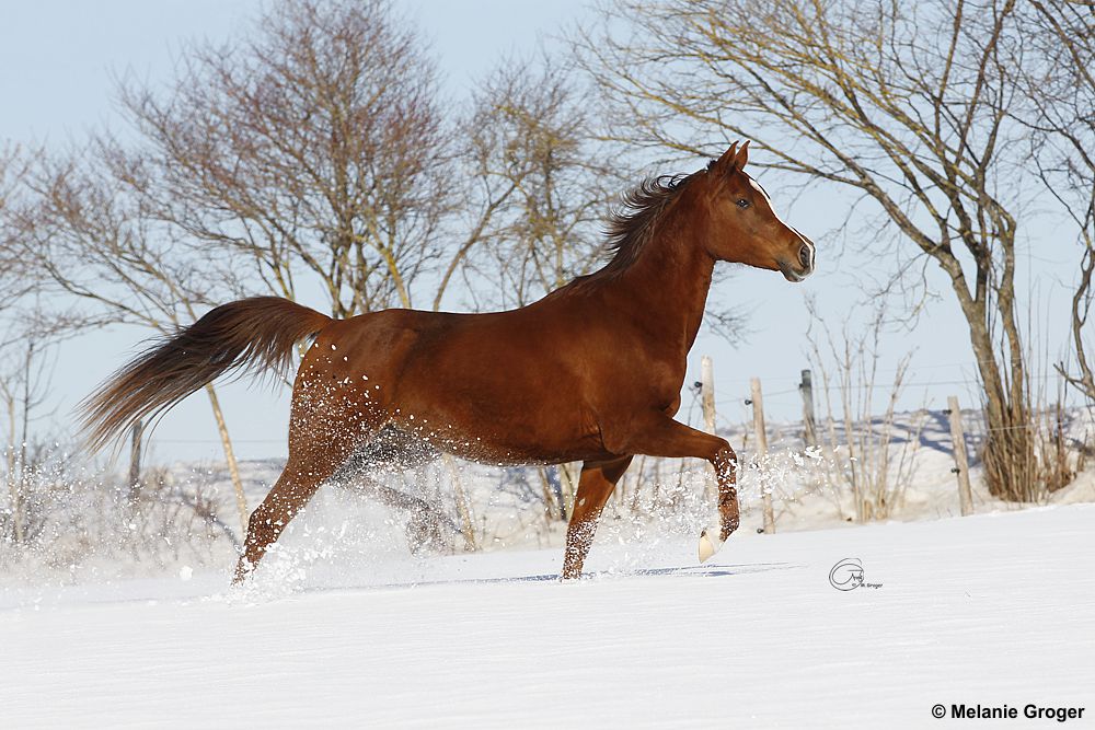 Winter Impressionen