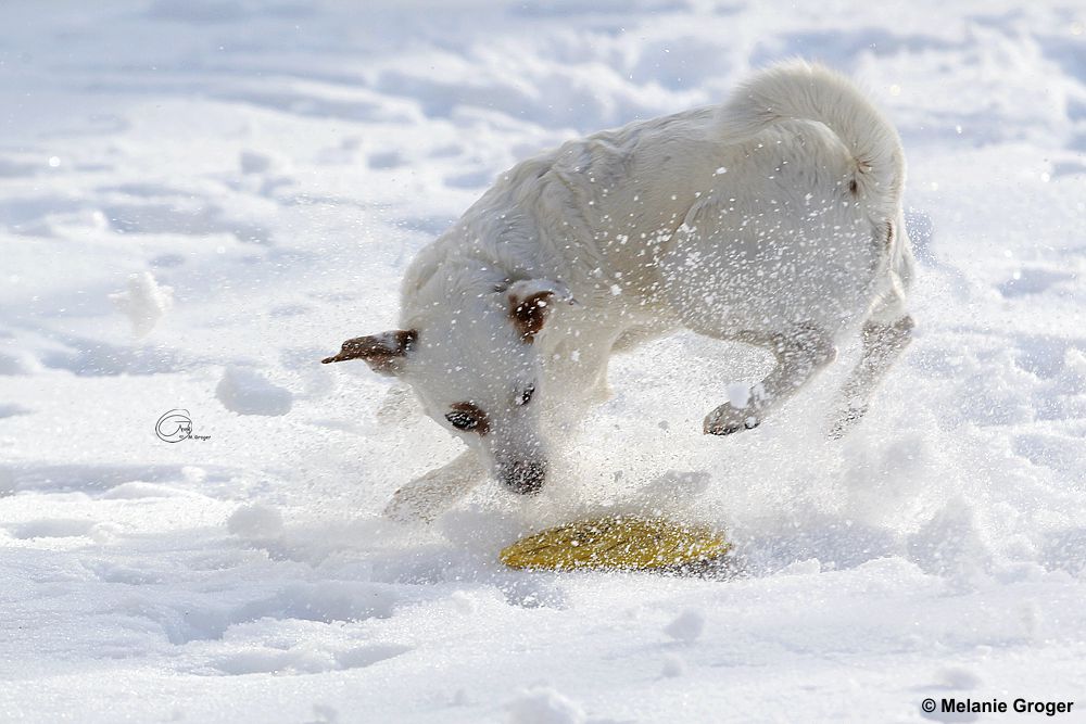 Winter Impressionen